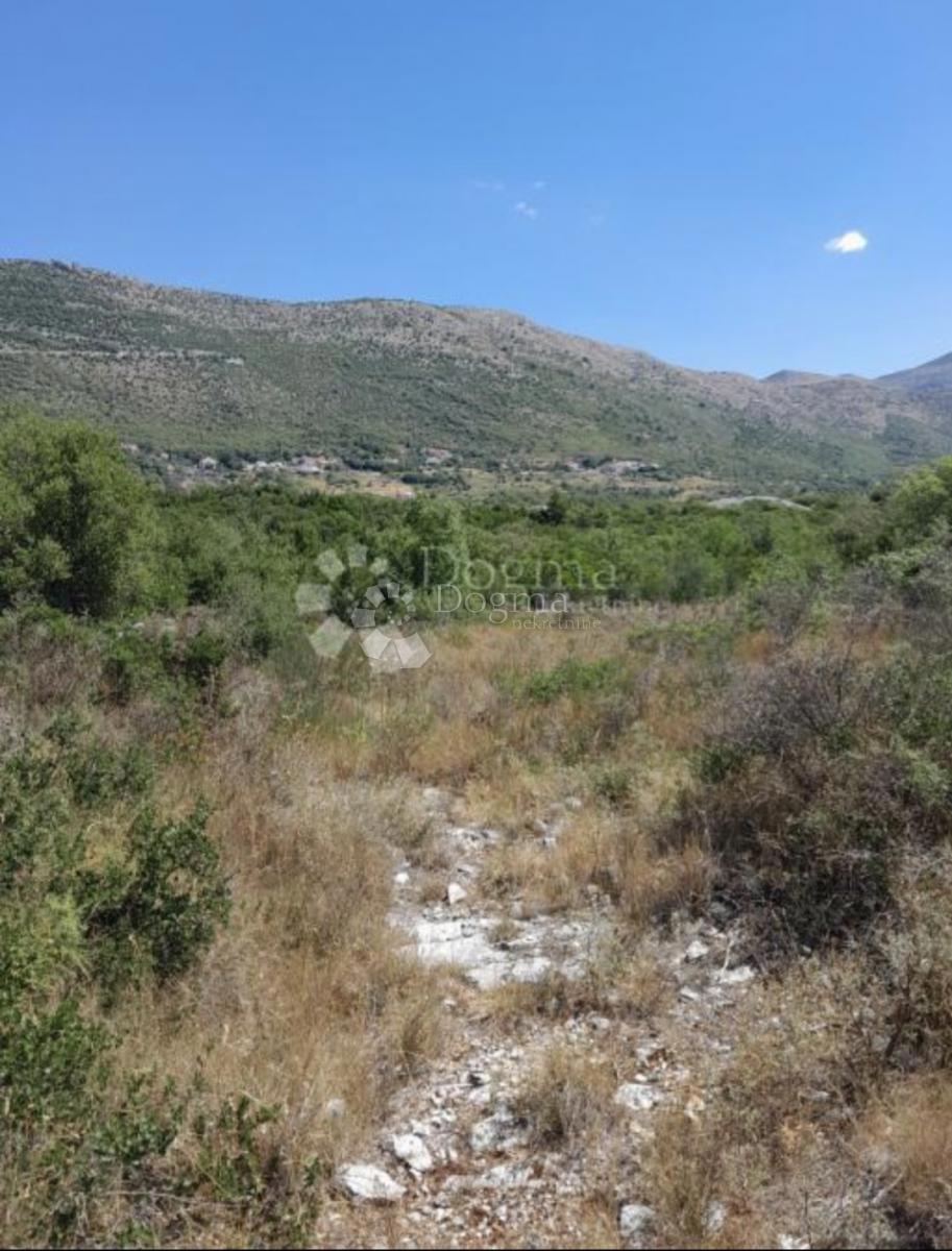 Zazidljivo zemljišče Močići, Konavle, 3.002m2