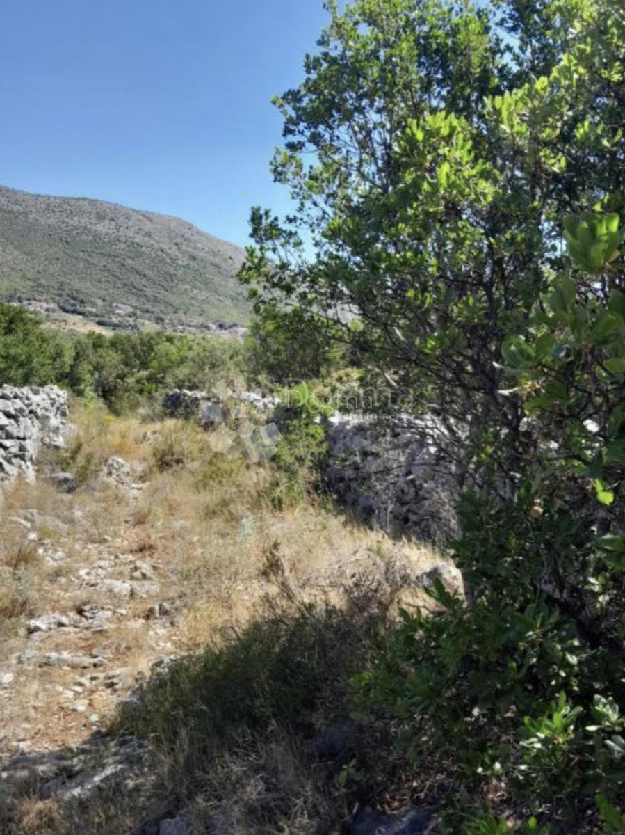 Zazidljivo zemljišče Močići, Konavle, 3.002m2