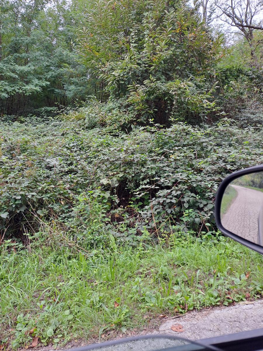Kmetijsko zemljišče Pješčanica, Gvozd, 9.301m2