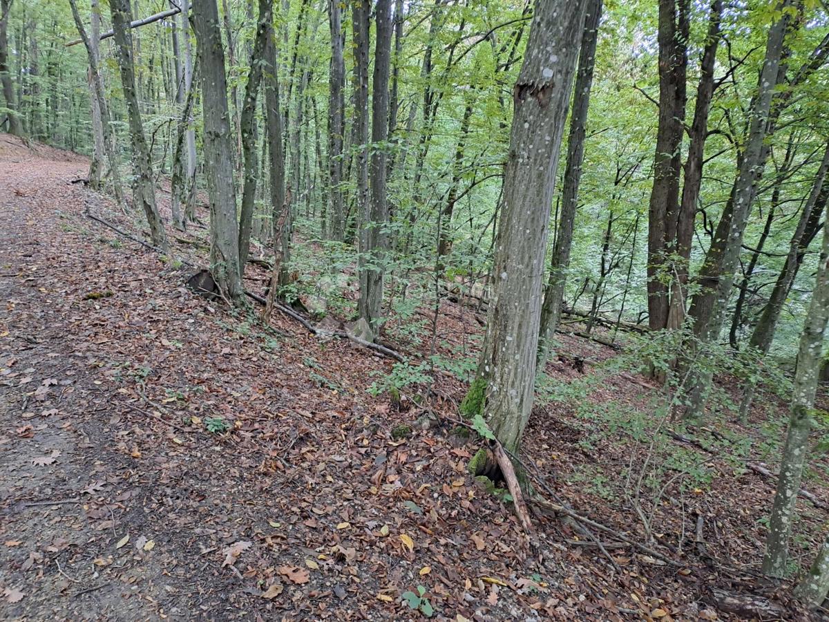 Kmetijsko zemljišče Pješčanica, Gvozd, 9.301m2