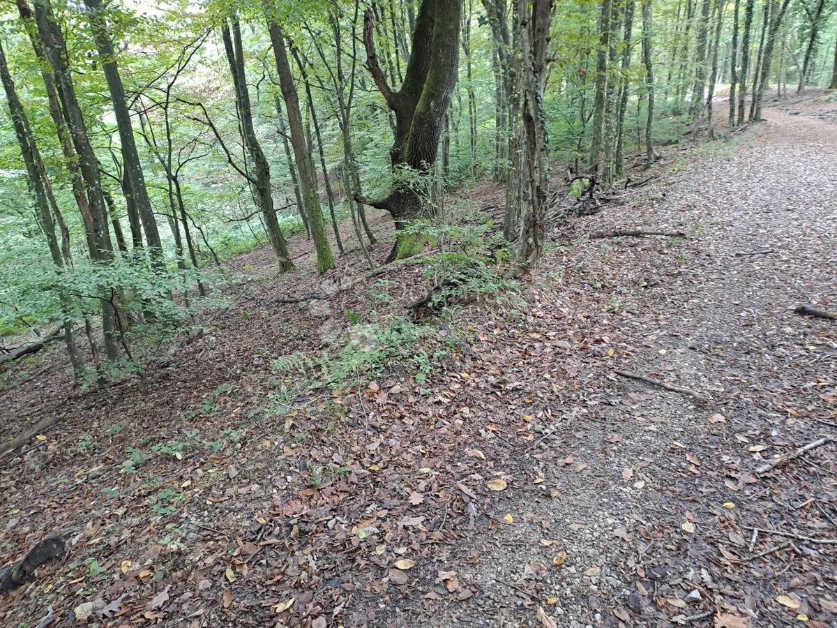 Kmetijsko zemljišče Pješčanica, Gvozd, 9.301m2