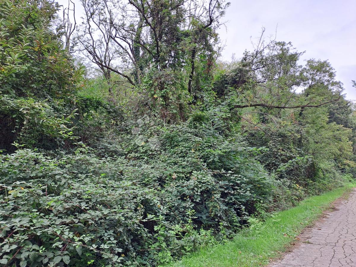 Kmetijsko zemljišče Pješčanica, Gvozd, 9.301m2