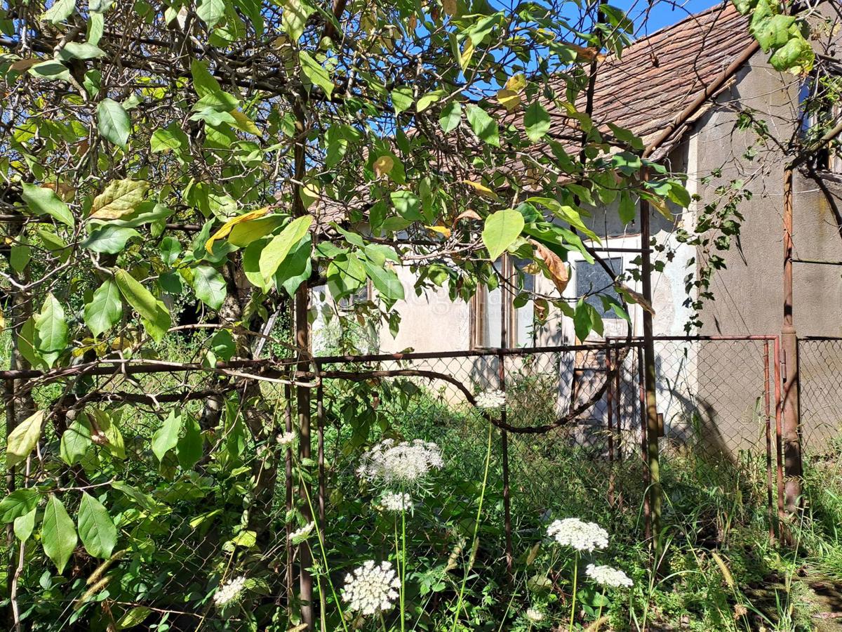 Hiša Zeleni brijeg, Sisak, 272m2