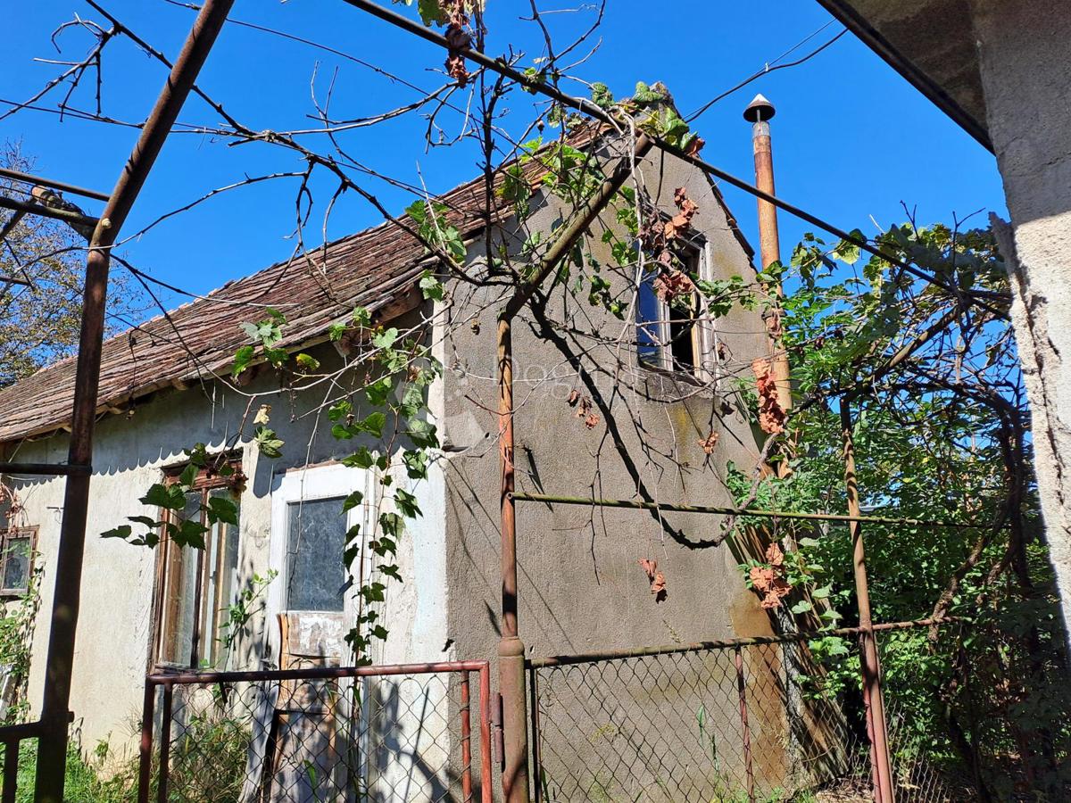 Hiša Zeleni brijeg, Sisak, 272m2