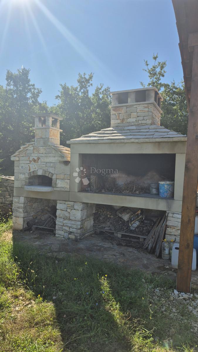 Kmetijsko zemljišče z istrskim kažunom in oljkami 13979 m2