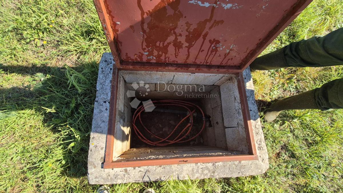 Kmetijsko zemljišče z istrskim kažunom in oljkami 13979 m2