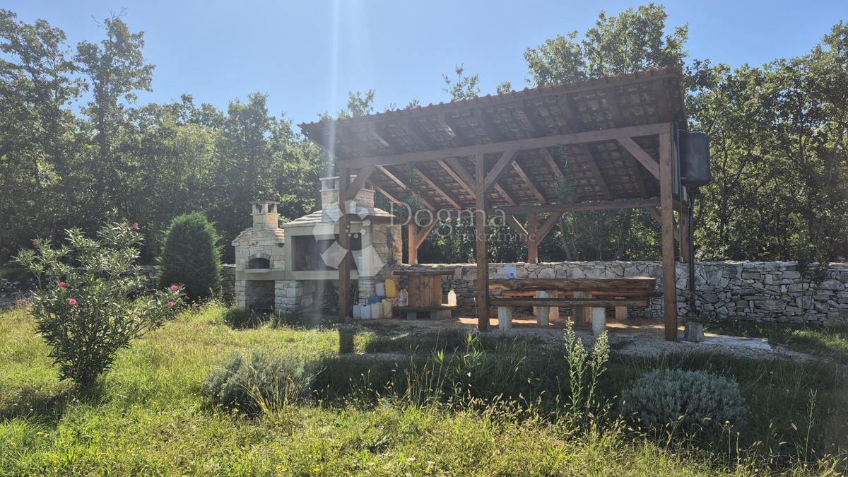 Kmetijsko zemljišče z istrskim kažunom in oljkami 13979 m2