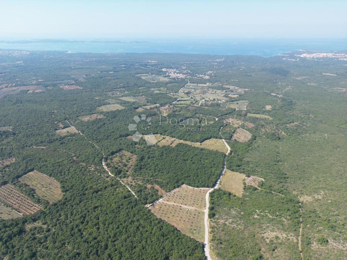 Kmetijsko zemljišče z istrskim kažunom in oljkami 13979 m2