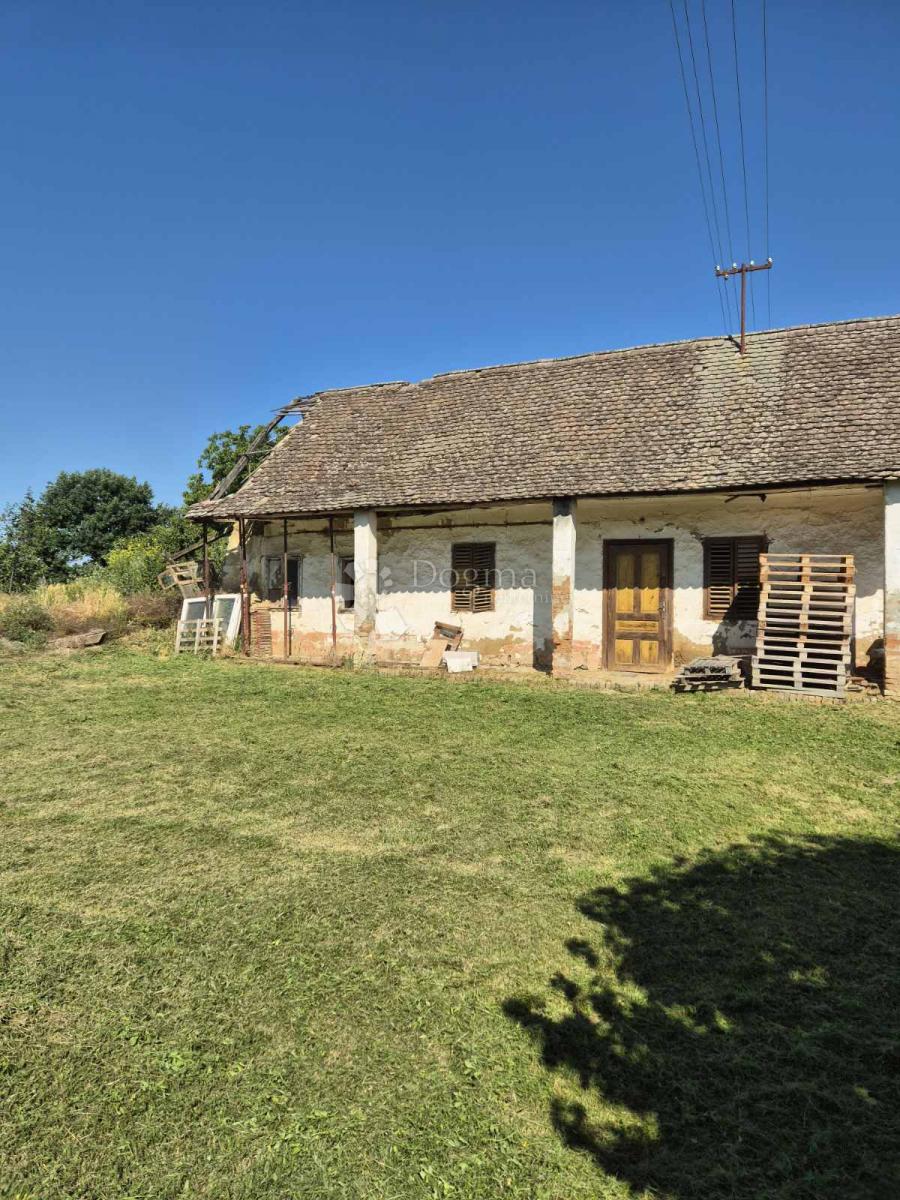 Hiša Branjin Vrh, Beli Manastir, 1.471m2