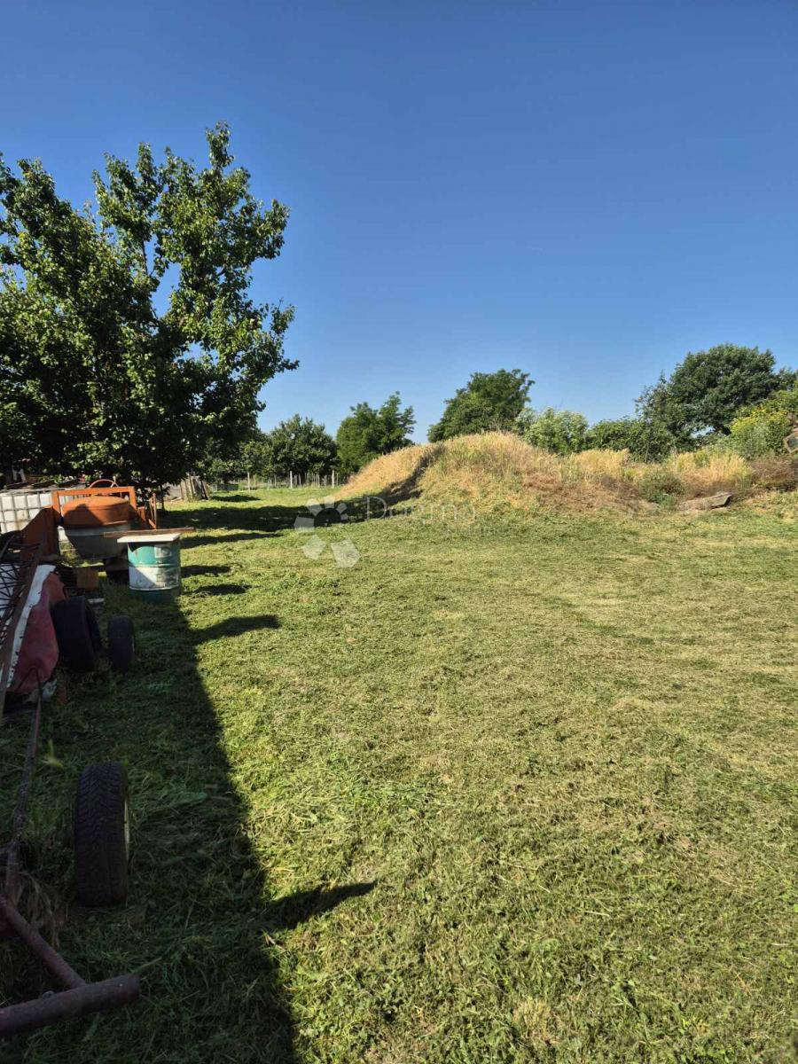 Hiša Branjin Vrh, Beli Manastir, 1.471m2