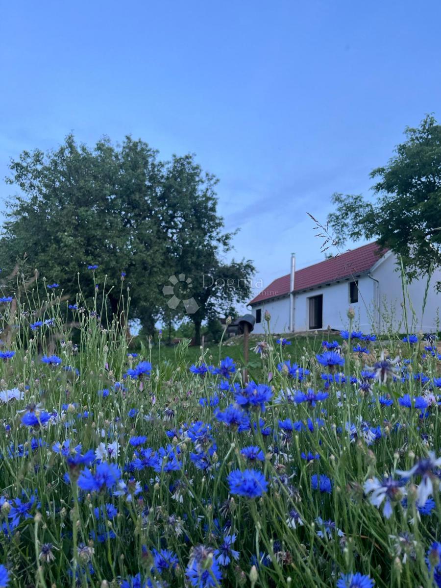 Hiša Londžica, Našice, 208m2