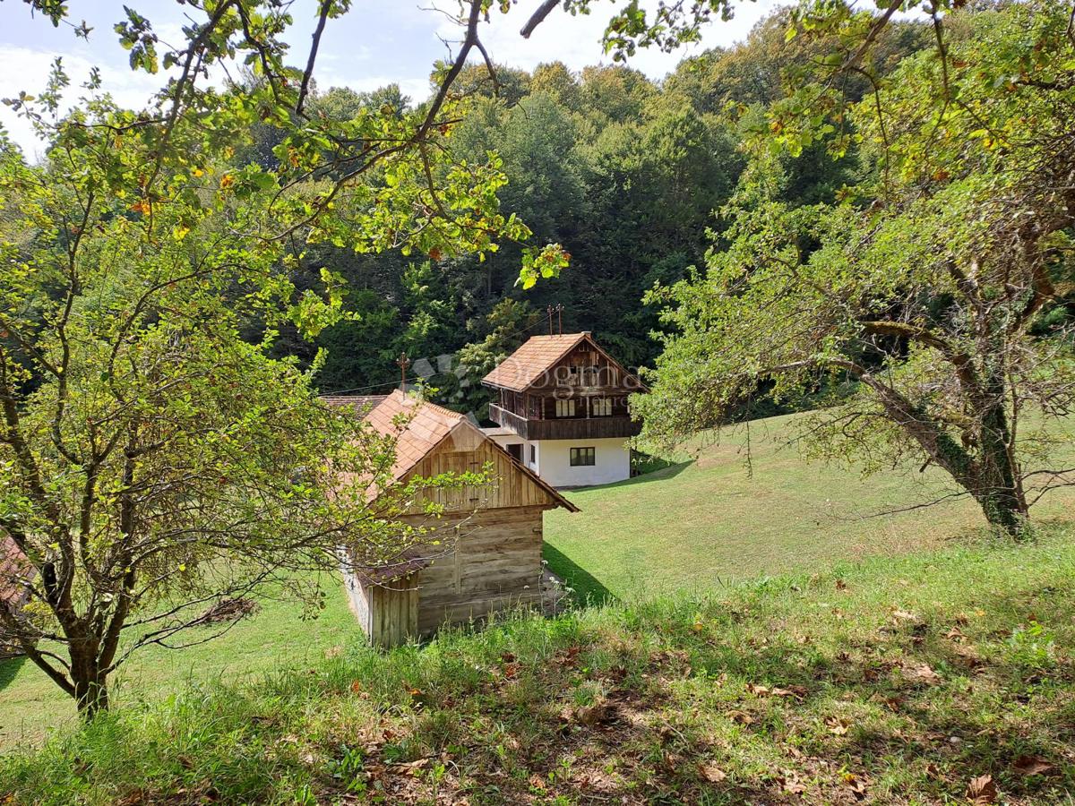 Hiša Ostrožin, Gvozd, 110m2