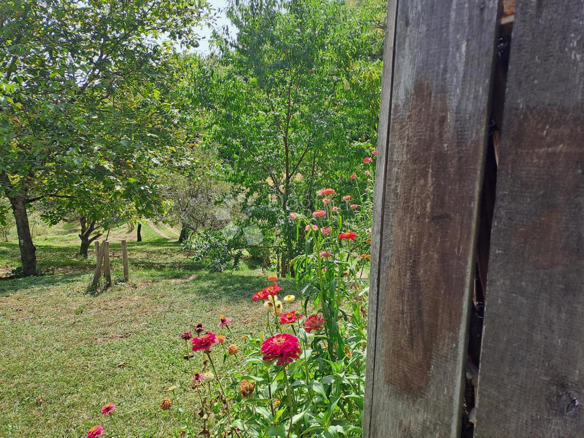 Hiša Ostrožin, Gvozd, 110m2