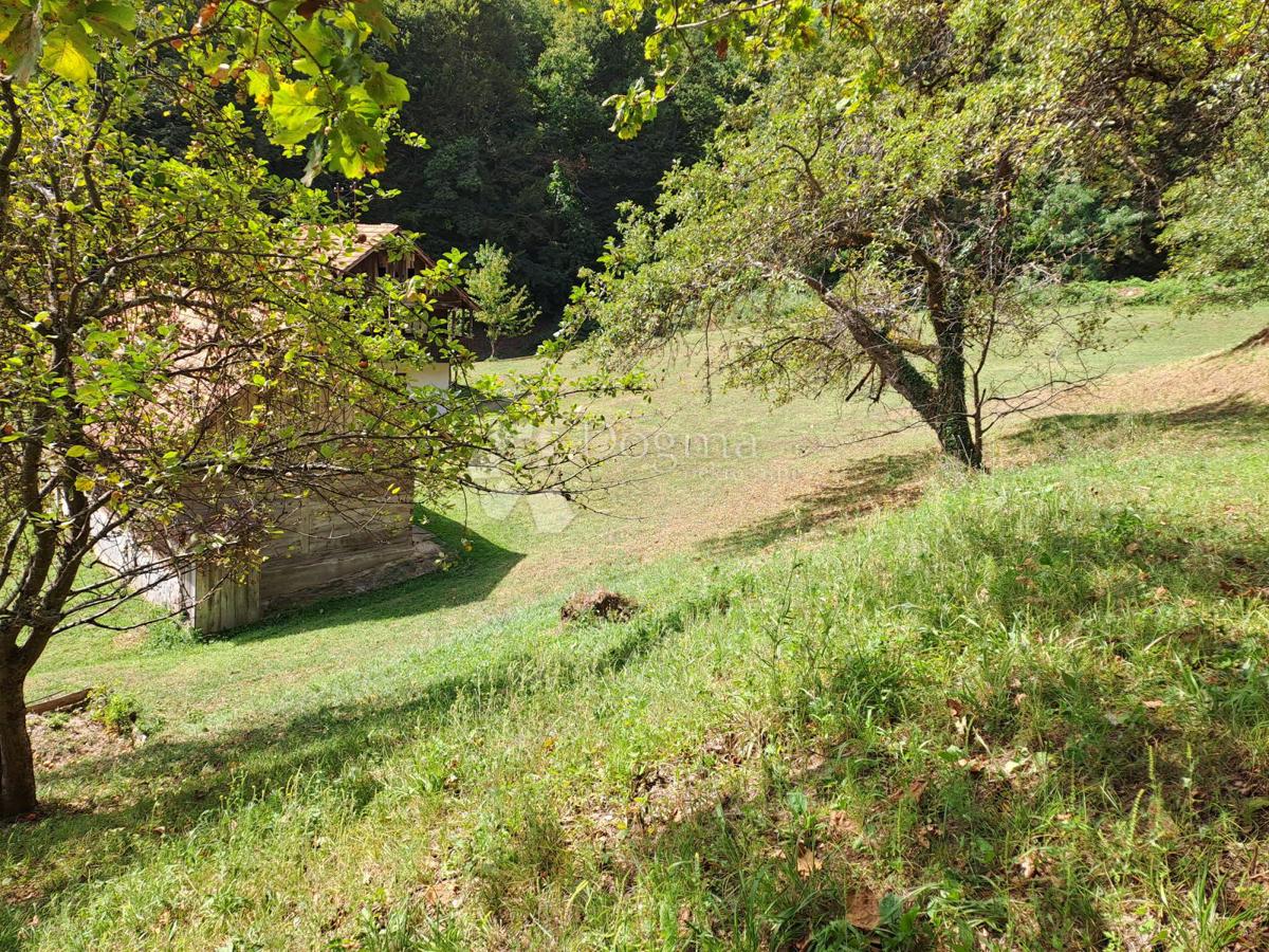 Hiša Ostrožin, Gvozd, 110m2