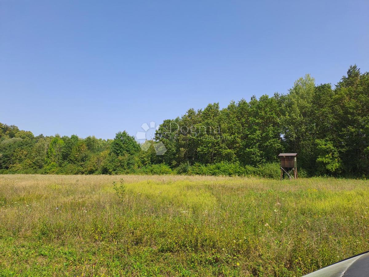 Hiša Ostrožin, Gvozd, 110m2