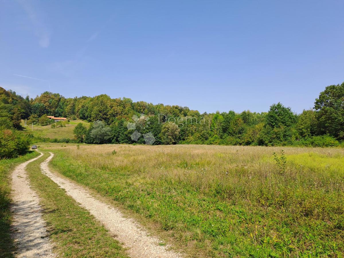 Hiša Ostrožin, Gvozd, 110m2