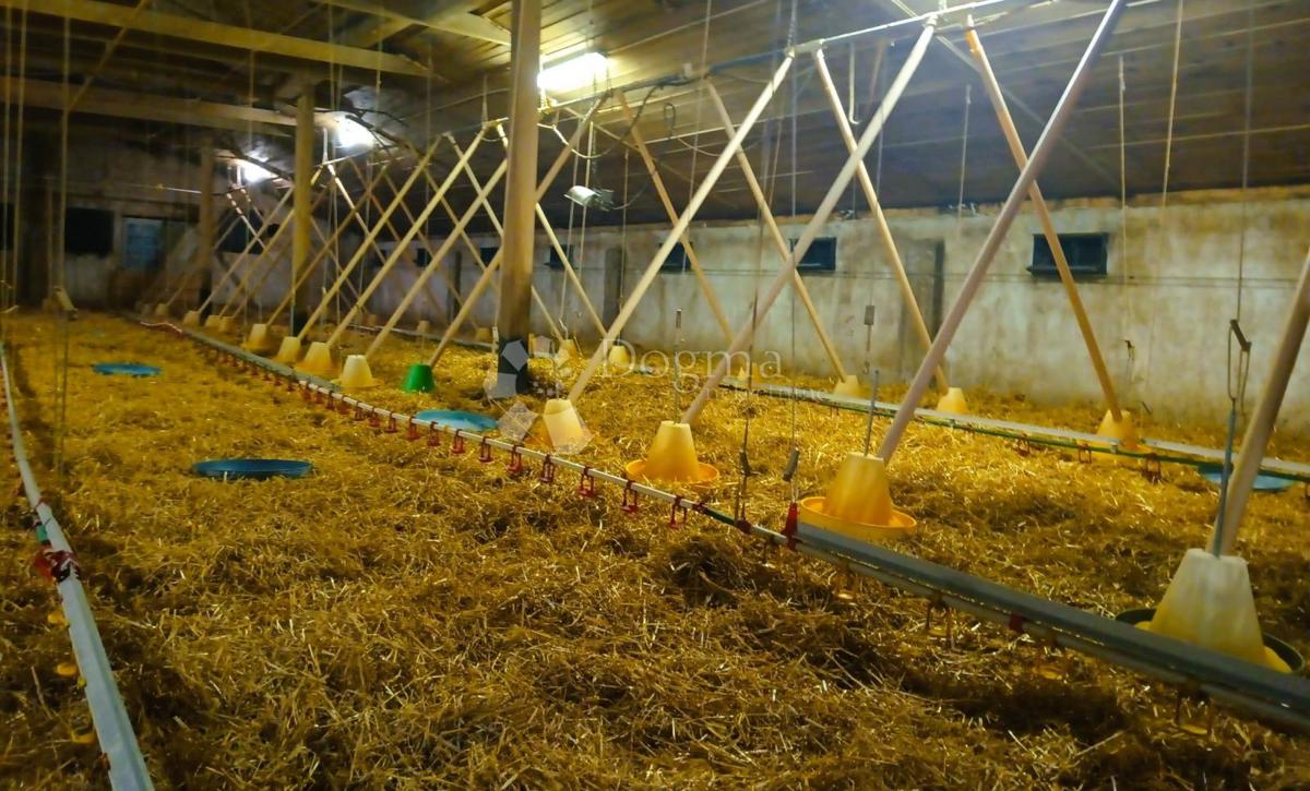 Hiša Novo Selo na Dravi, Čakovec - Okolica, 159,22m2