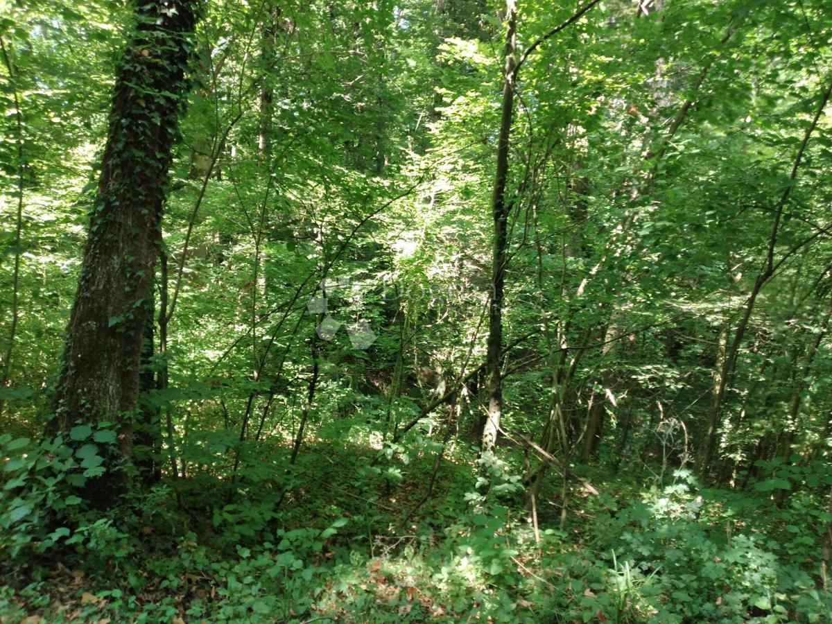 Hiša Topusko, 100m2