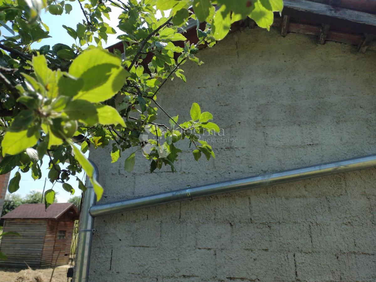 Hiša Topusko, 100m2