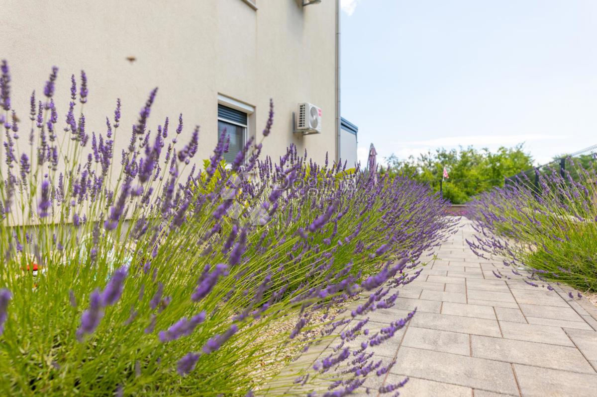 Apartma Hlapa, Dobrinj, 47m2