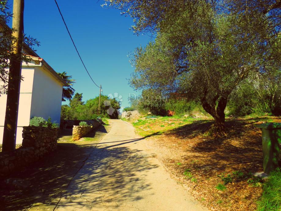 Hiša Veli Iž, Zadar - Okolica, 774m2