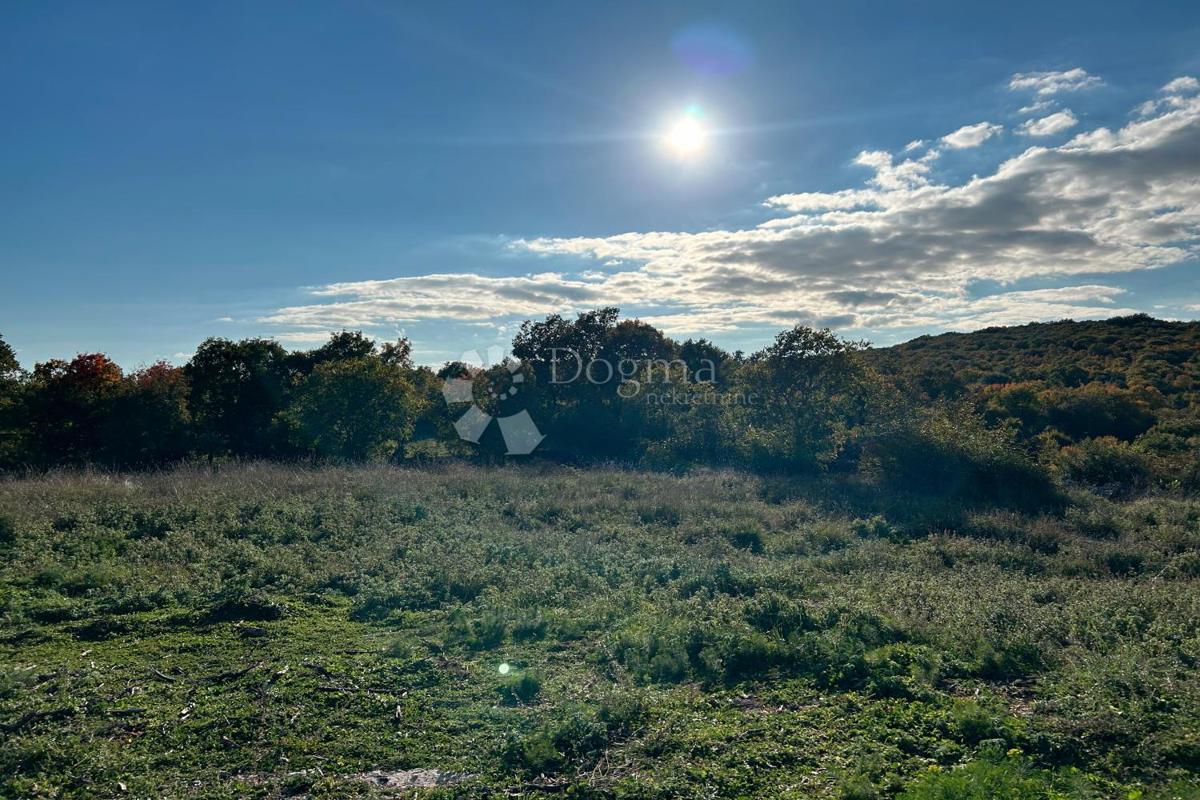 Zazidljivo zemljišče Bale, 1.235m2