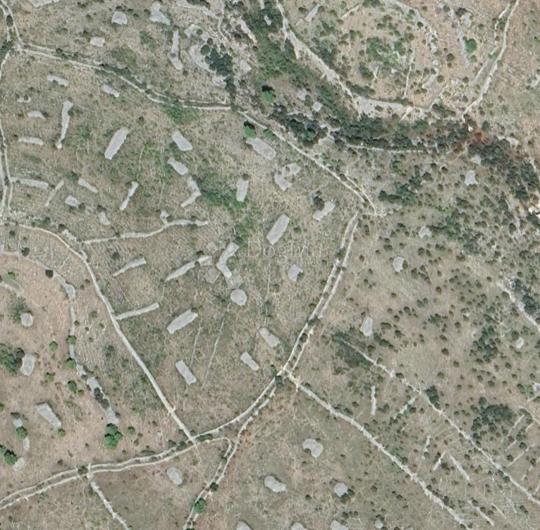 Kmetijsko zemljišče Milna, 11.019m2