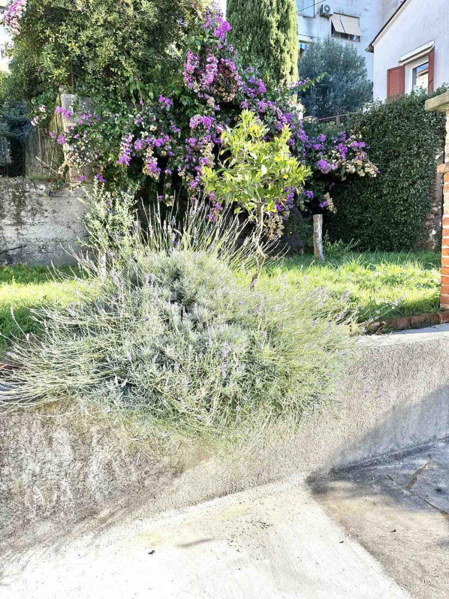 Stanovanje Pećine, Rijeka, 107,22m2