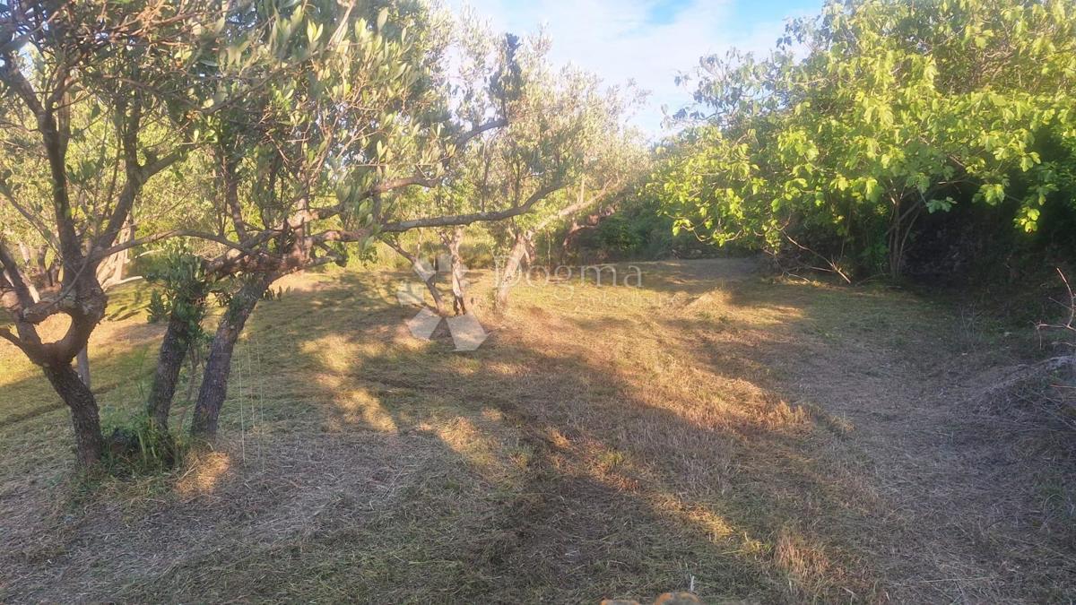 Gradbeno zemljišče Pašman