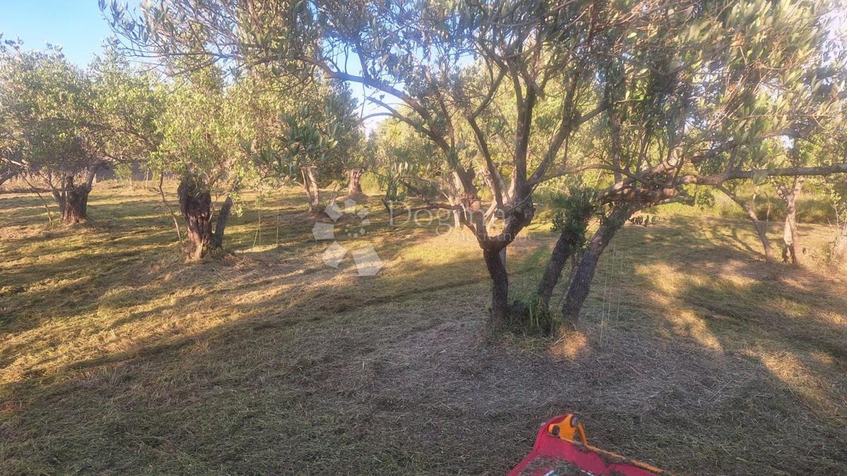 Gradbeno zemljišče Pašman