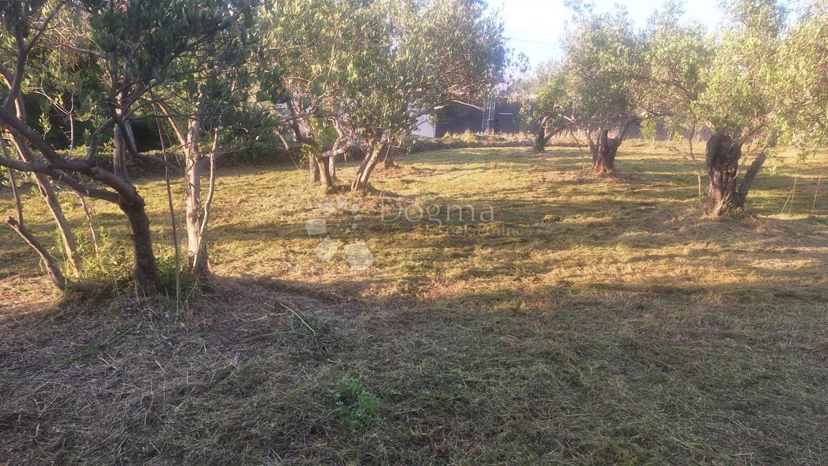 Gradbeno zemljišče Pašman