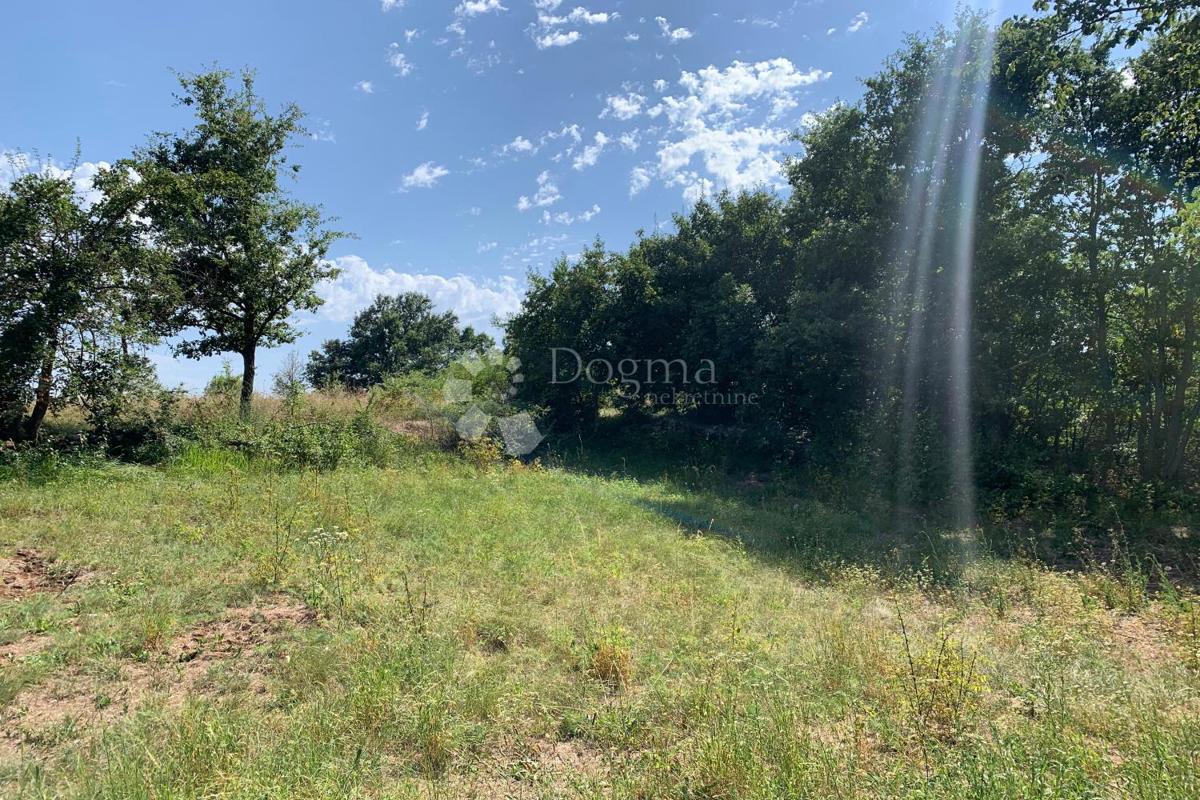 Zemljišče Vidulini, Žminj, 1.422m2