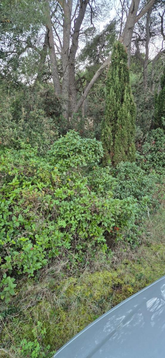 Kmetijsko zemljišče Kali, 254m2