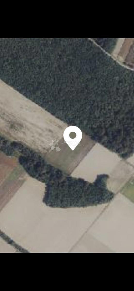 Kmetijsko zemljišče Satnica, Petrijevci, 15.484m2