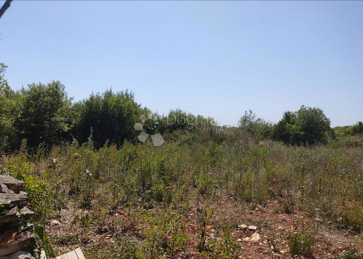 Kmetijsko zemljišče Galižana, Vodnjan, 50.000m2