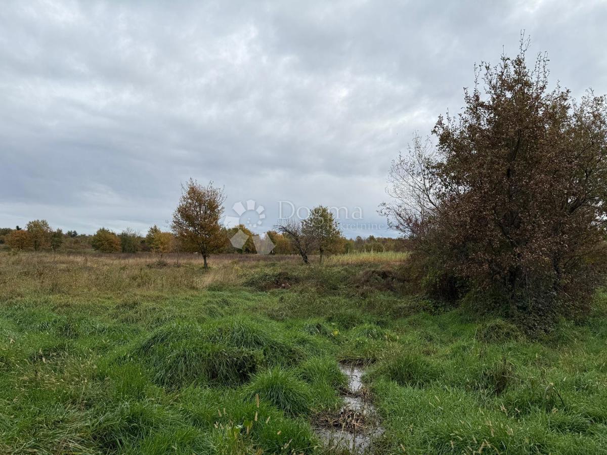 Prostorno kmetijsko zemljišče 700m od morja - Poreč