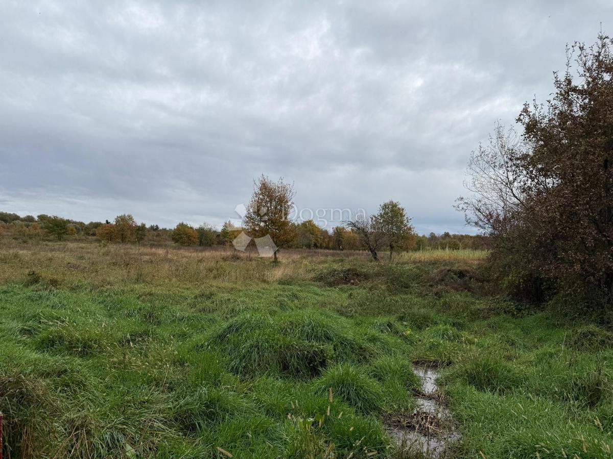 Prostorno kmetijsko zemljišče 700m od morja - Poreč