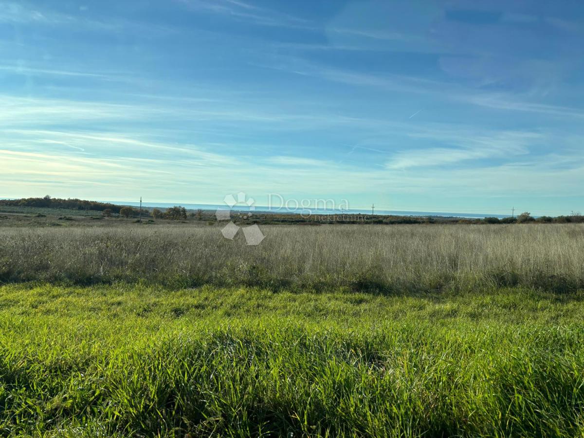 Zazidljivo zemljišče Poreč, 977m2