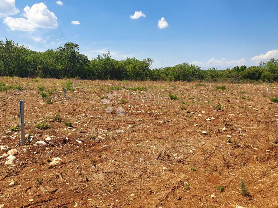 Zazidljivo zemljišče Sukošan, 730m2