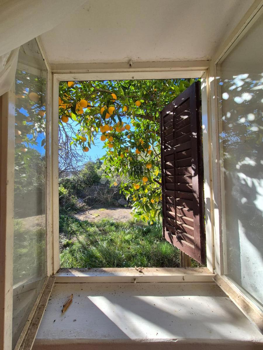 Hiša Pašman, Don Marka Cvitanovića, 202m2