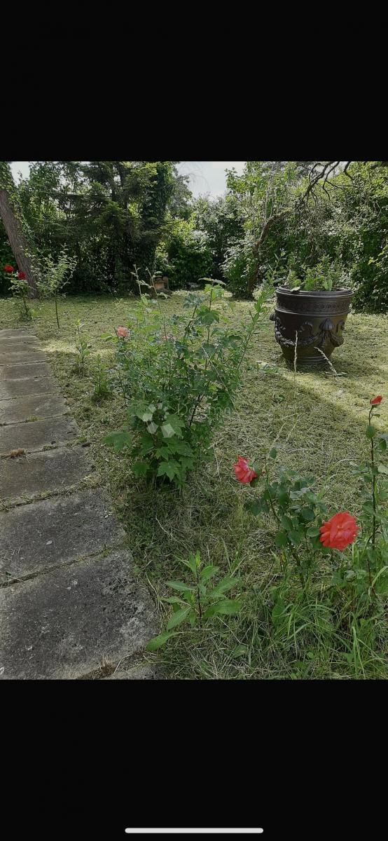 Hiša Pantovčak, Gornji Grad - Medveščak, 180m2