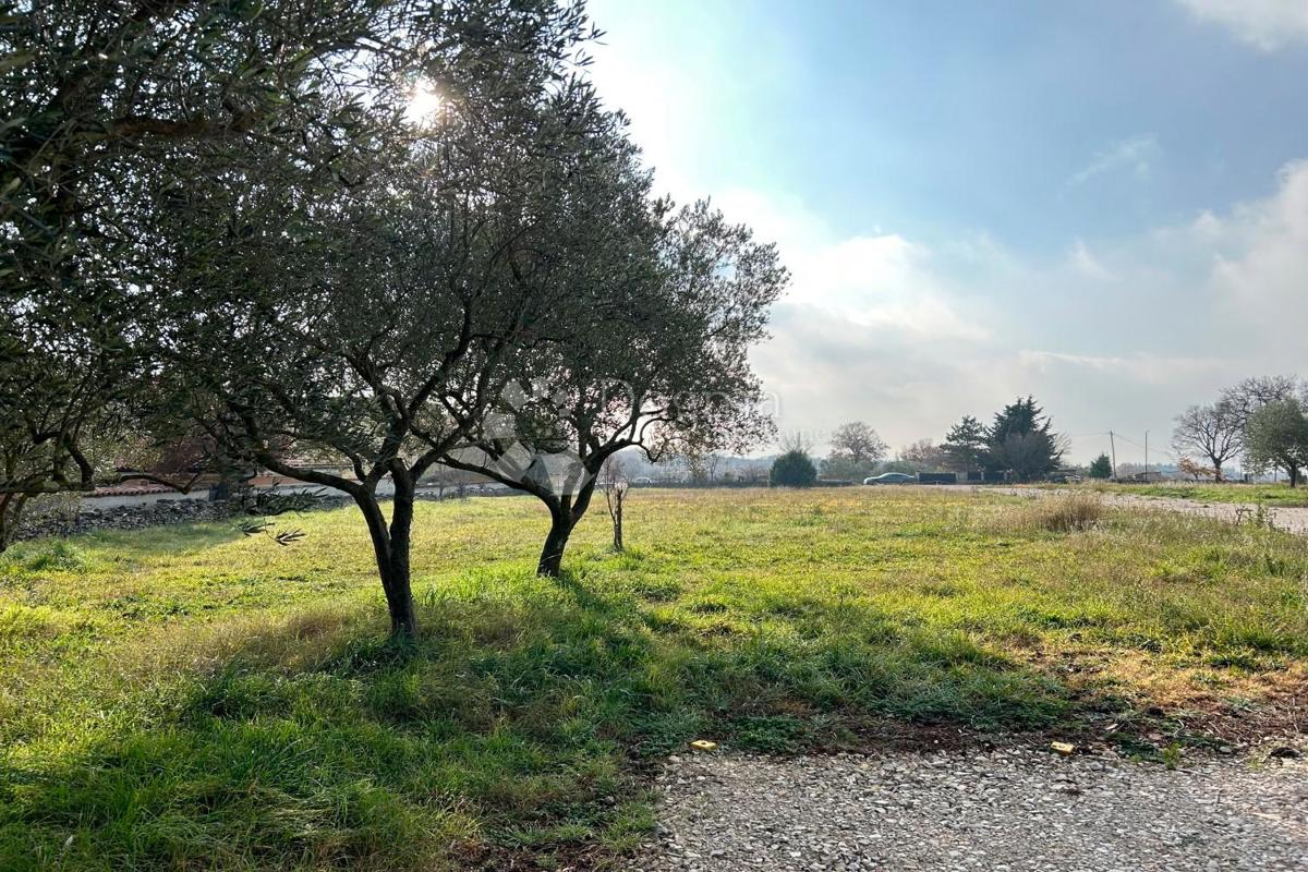 Zazidljivo zemljišče Vodnjan, 939m2