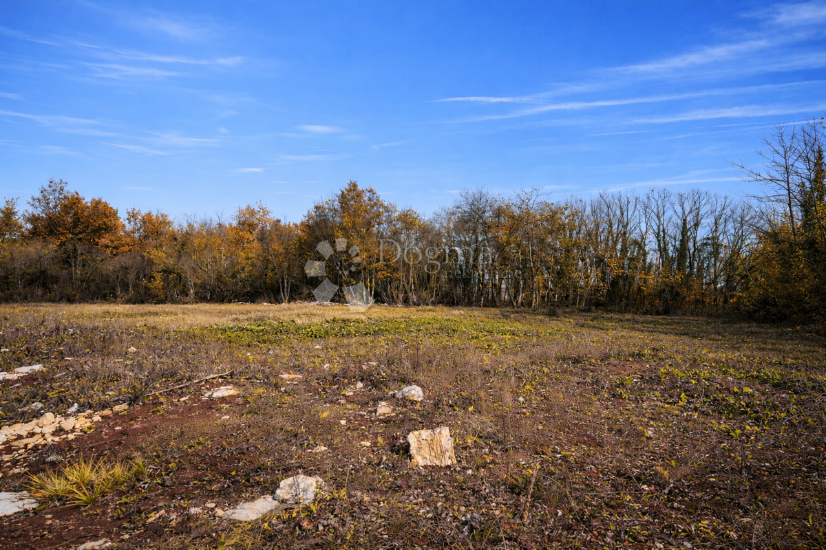 Zazidljivo zemljišče Zabrežani, Pazin - Okolica, 3.609m2