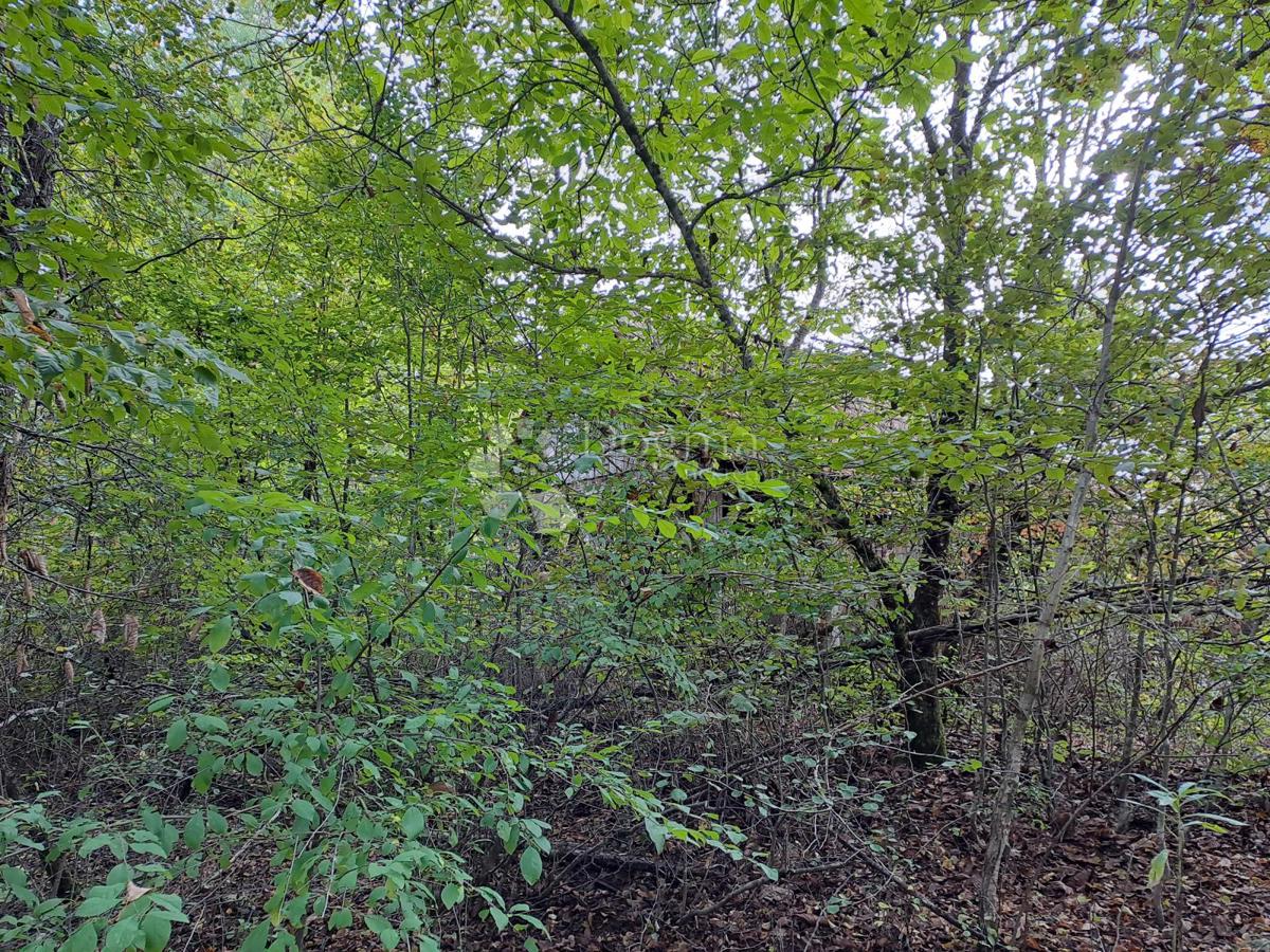 Hiša Pješčanica, Gvozd, 40m2