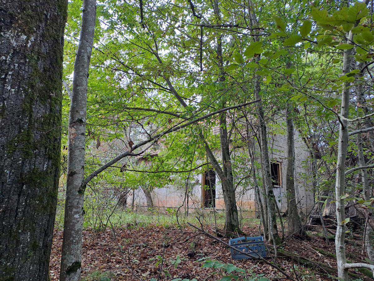 Hiša Pješčanica, Gvozd, 40m2