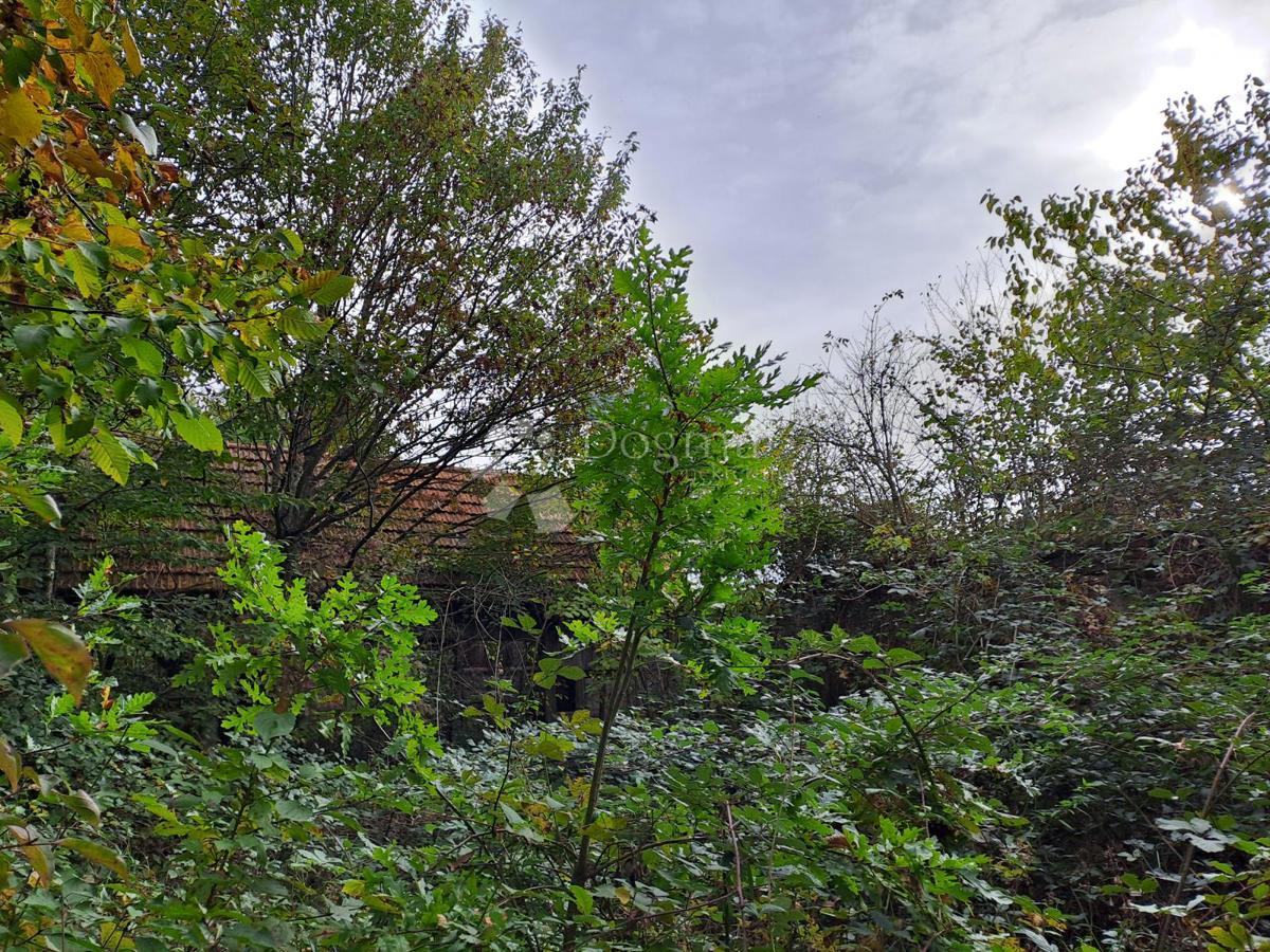 Hiša Pješčanica, Gvozd, 40m2