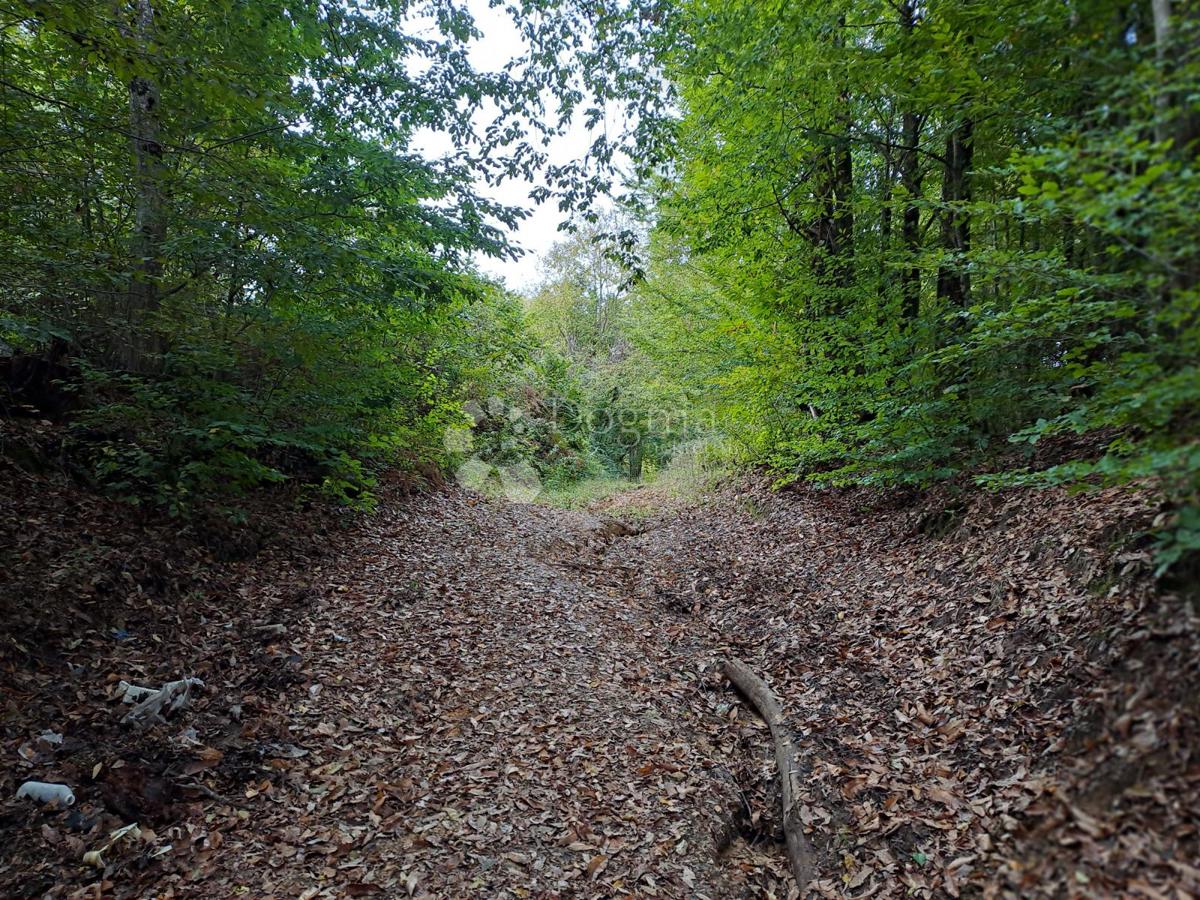 Hiša Pješčanica, Gvozd, 40m2