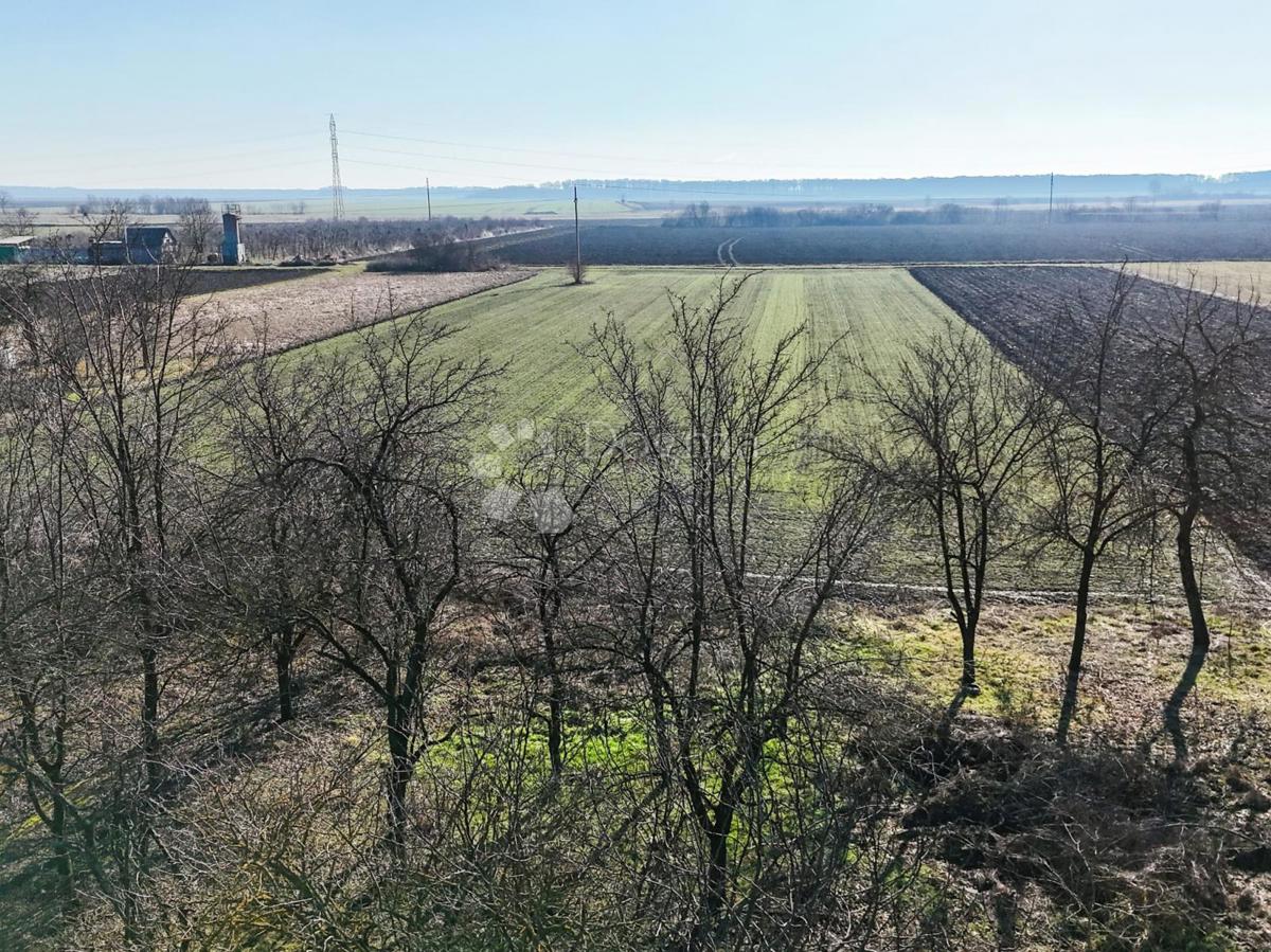 Hiša Čokadinci, Čepin, 128m2