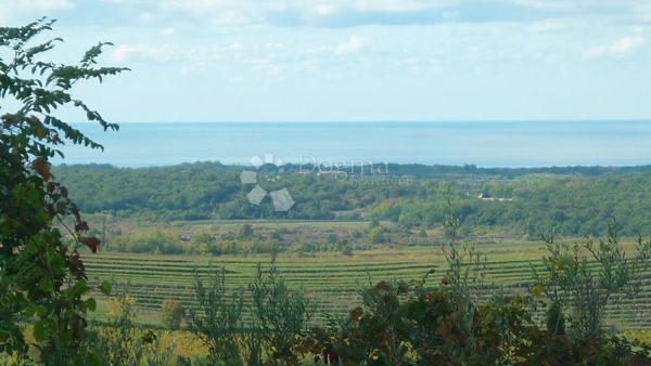 Zazidljivo zemljišče Buje, 1.473m2