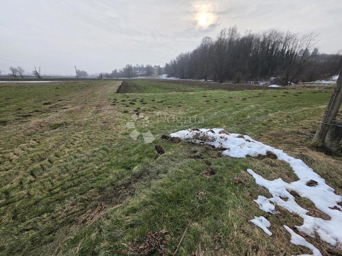 Kmetijsko zemljišče Luka, 3.766m2